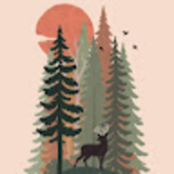 Meet your Posher, Kaitlin - Picture 1 of 1